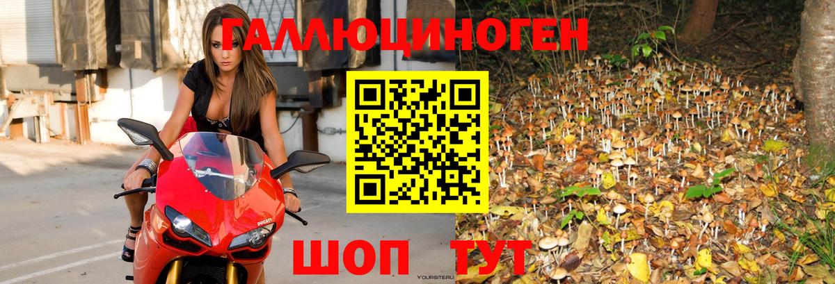Галлюциногенные грибы Cubensis Сочи