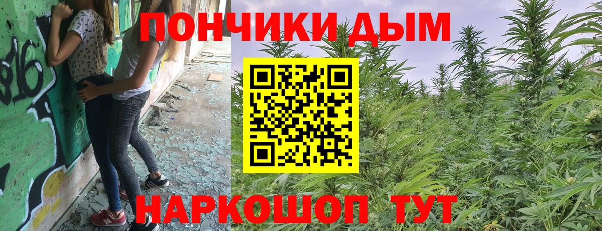Бошки Шишки OG Kush Сочи